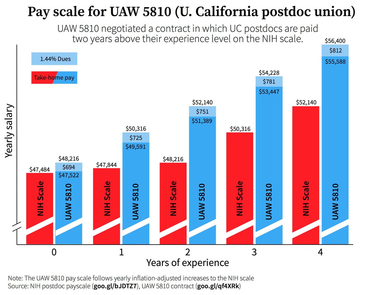 hgsuuaw's tweet photo. Along with pay increases, @UAW5810 won health benefits, paid parental leave, a fair process for harassment, & more #chartmonth #monthofpay https://t.co/nO4EfDa6Sc
