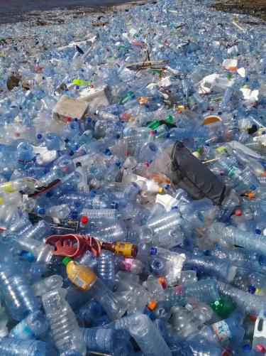 sealifecom's tweet photo. 😮 Plastic bottles in the Congo River, Kinshasa, DRC ~> https://t.co/T2DKjmz95h #pollution #cleanseas #oceanrescue by #Seasaver https://t.co/sWzmacWkEj