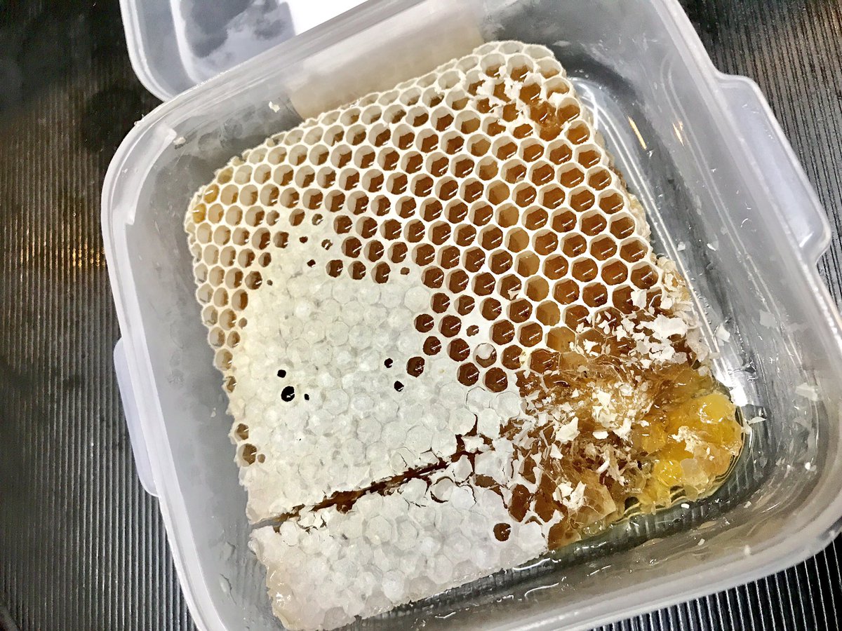 見た目は強烈だけどめちゃくちゃ美味しい巣蜜の魅力 超濃くてうまい 巣はサクサクモチモチ 集合体恐怖注意 Togetter 見た目は強烈だけどめちゃくちゃ美味しい巣蜜の魅力 超濃くてうまい 巣はサクサクモチモチ 集合体恐怖注意 Togetter