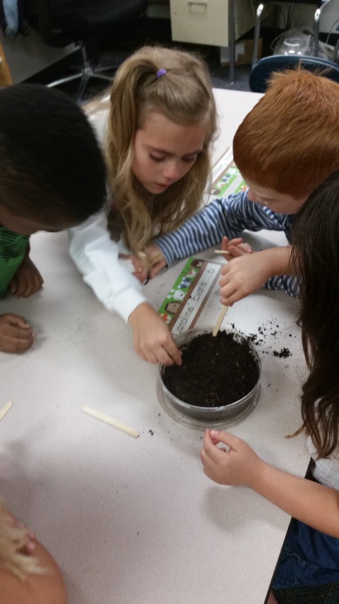 Kindergarten Science for Fun