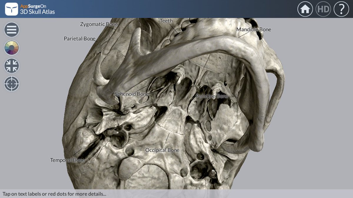 Kyu3 キューさん ノラニャンコ 頭蓋骨の詳細な3d解剖図見られる Appsurgeon 3dskullatlas 英語版なので説明全部英語だけど なかなか興味深い 現在無料 T Co Qd7wyeilai