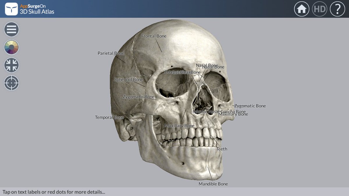 Kyu3 キューさん ノラニャンコ 頭蓋骨の詳細な3d解剖図見られる Appsurgeon 3dskullatlas 英語版なので説明全部英語だけど なかなか興味深い 現在無料 T Co Qd7wyeilai Kyu3 キューさん ノラニャンコ 頭蓋骨の詳細な3d解剖図見られる Appsurgeon 3dskullatlas 英語版なので説明全部英語だけど なかなか興味深い 現在無料 T Co Qd7wyeilai
