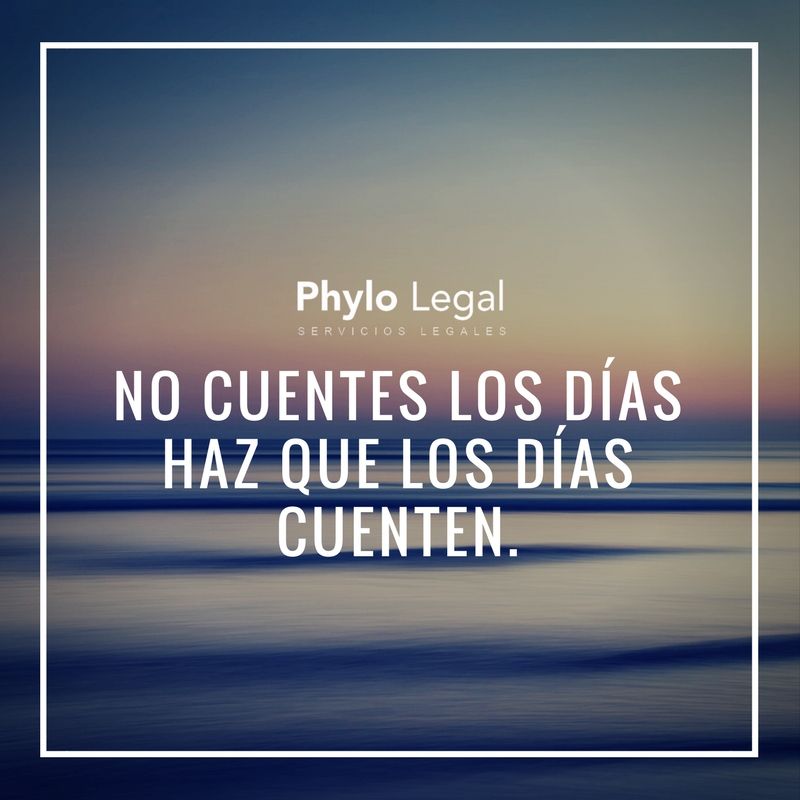 Dedícate a crecer tu empresa hoy. Delega en nosotros lo legal. phylo.co #emprendimiento