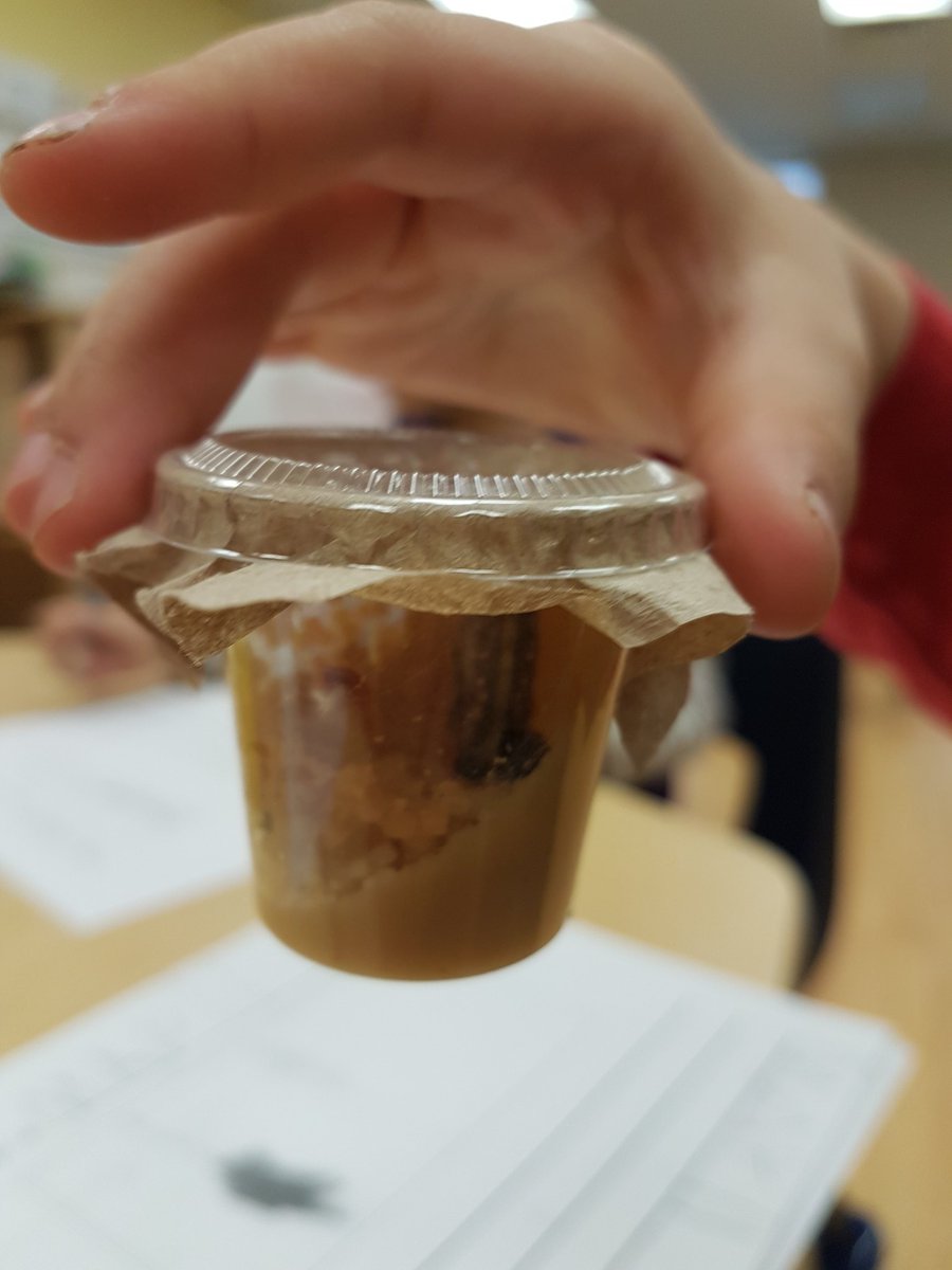 Kinderminds's tweet photo. "We have a chrysalis!" So much excitement in our kindie room! @BeckettFarmPS  #FDK https://t.co/sVkXHlNJQj
