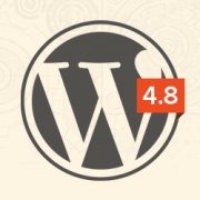 SuccessWebTrain's tweet photo. What’s Coming in WordPress 4.8 (Features and Screenshots) - https://t.co/keyXHsL2Ij https://t.co/WtYxwpysCu