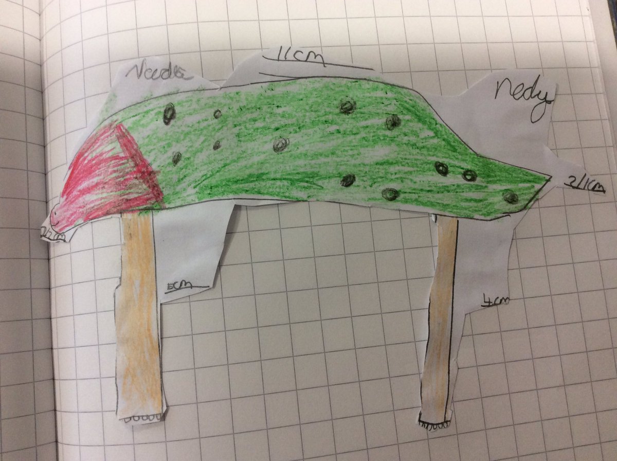 Adamsrill2G's tweet photo. We met Neddy the tortoise this afternoon. We have draw pictures of him to scale. His shell is 11cm long. https://t.co/BHEFLYoSgO
