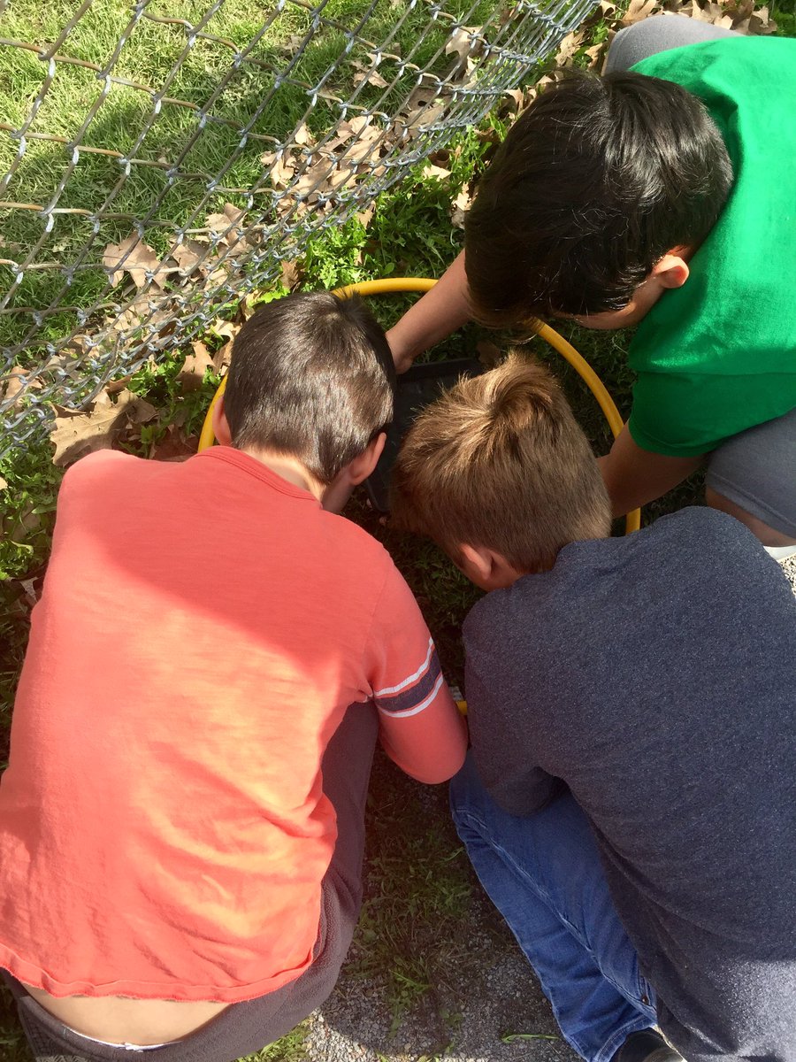 Steps Intermediate tweet media