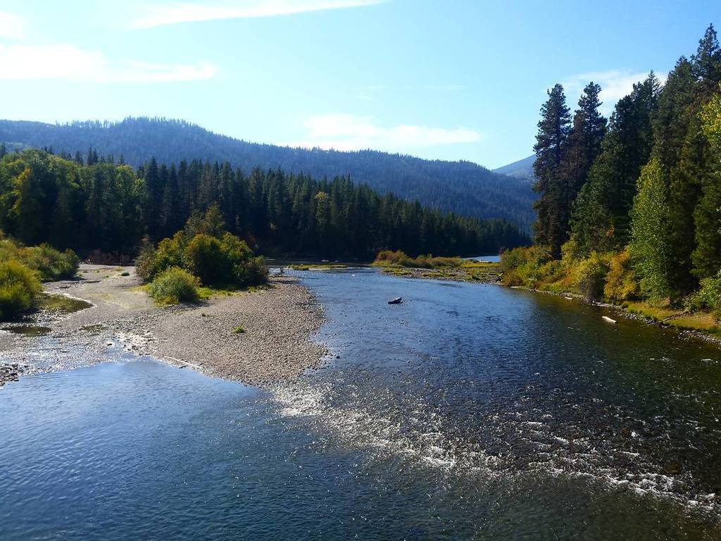 TheCascadeLoop's tweet photo. The #headwaters of the #WenatcheeRiver where it leaves #LakeWenatchee. #CascadeMountains #TheCascadeLoop #CascadeL… https://t.co/8gNVLrARbl https://t.co/ofQuX1RRkk