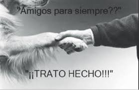 guardiacivil's tweet photo. Se acerca la Navidad, así que antes de regalar animales no olvides que tu
perro🐶
gato🐱
periquito🐦
tortuga🐢
Tiranosaurio Rex ⁉️
no es un juguete, tiene sentimientos

#Noloabandones https://t.co/klByZaWlaw