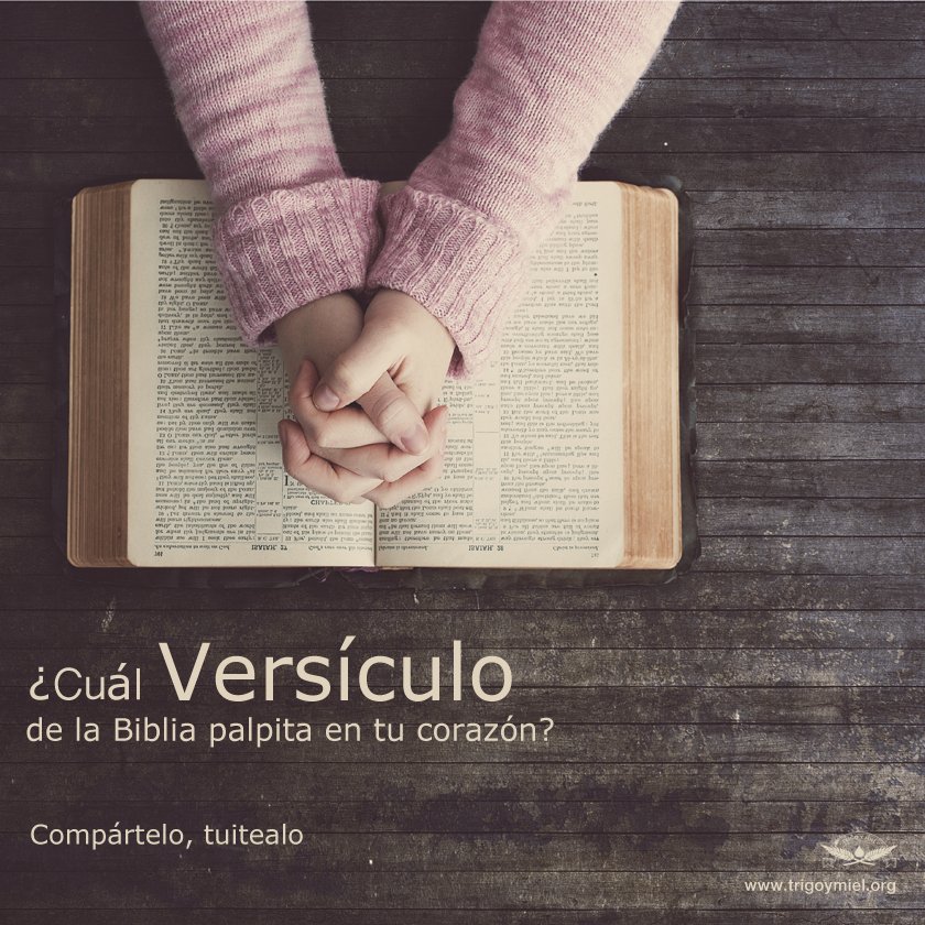 TrigoyMielLeon's tweet photo. ¡Buen día familia! ¿Cuál versículo de la Biblia palpita en tu corazón? Compártelo, tuitealo.
#TrigoyMielLeón #Ahíjole #FelipeDelCastillo https://t.co/KtS6zte8f1