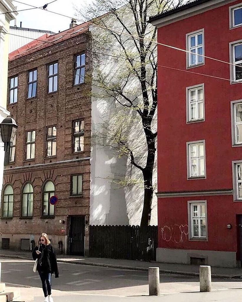Love the tree squeezed in between the buildings. #oslo #visitoslo Photo: @missgiaever ift.tt/2qXSWtt