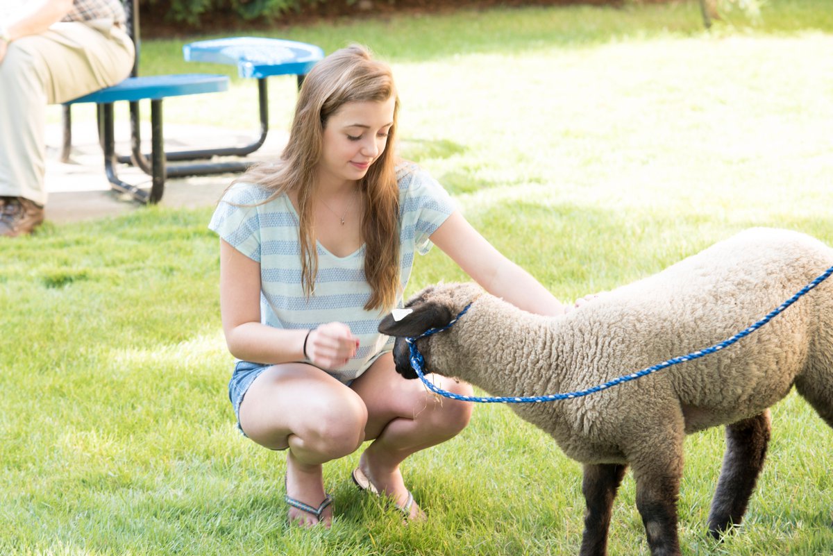 SWMetro's tweet photo. #TBT to when our students were making some unique "relationsheeps"
#SWMetro https://t.co/ffuUA0VbjS