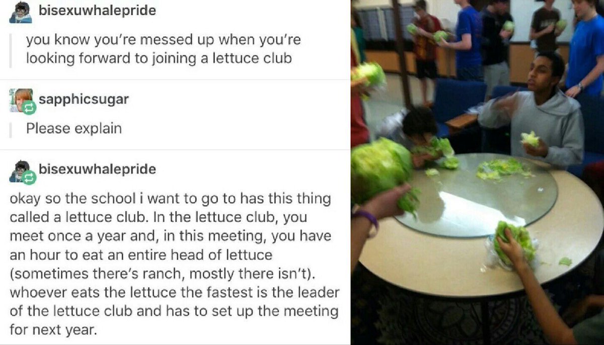 CHS Lettuce Club on Twitter: 