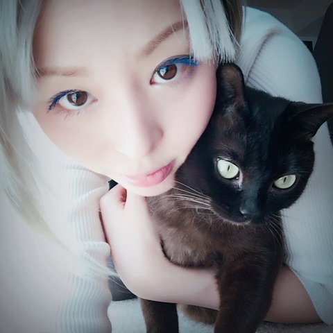 平野綾オフィシャルインフォ 平野綾 ブログを更新しました 道長happy Birthday 画像9枚 T Co Gv2k5gkdcf 平野綾 猫 アメブロ