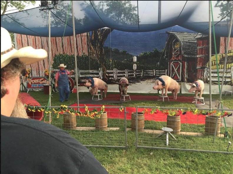 churchofturk's tweet photo. #TBT #USATOUR2015 #Hollywood #Kentuckystatefair @turktresize is on #tourUSA2017 now.... #NewYork here they #Come #TurkTresizeBand #TurkRocks https://t.co/QLGpVTs6qA