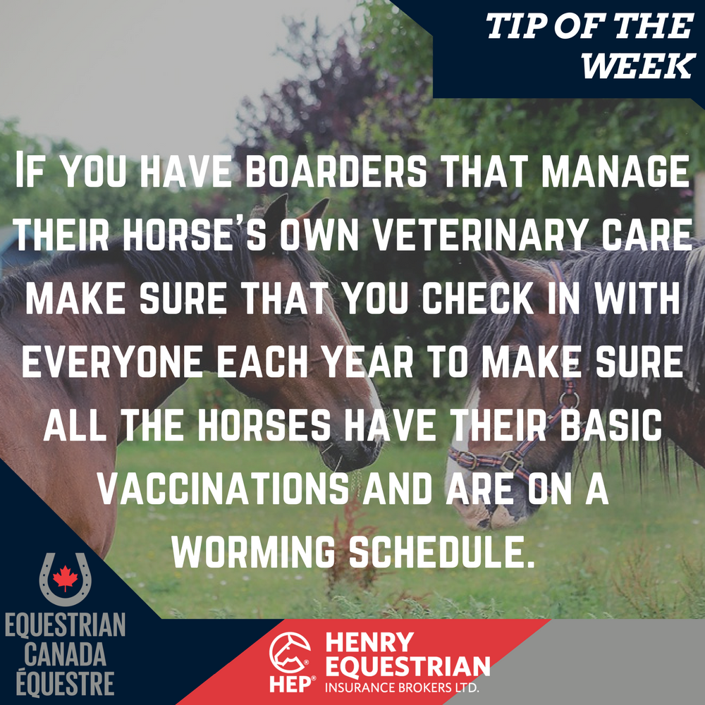Equestrian_Can's tweet photo. Henry Equestrian's Tip of the Week! https://t.co/dNYyc5N0Uu