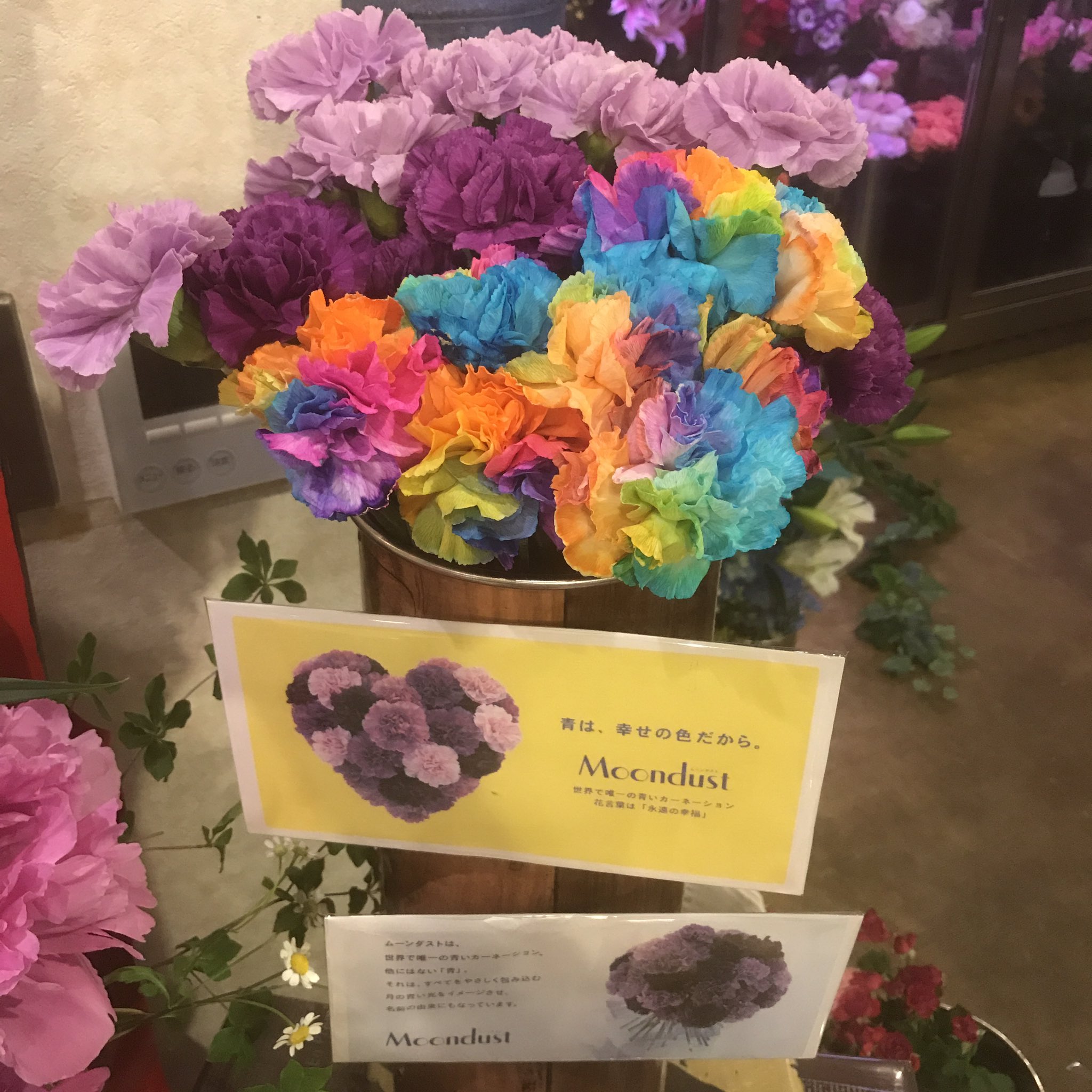 花とケーキの横綱 ムーンダスト Moondust 世界に一つの青のカーネーション 優しく包み込む月明かり 名前の由来でもあります 花言葉 永遠の幸福 母の日 にピッタリのブランドです Happymothersday Moondust 青のカーネーション 花言葉は永遠の
