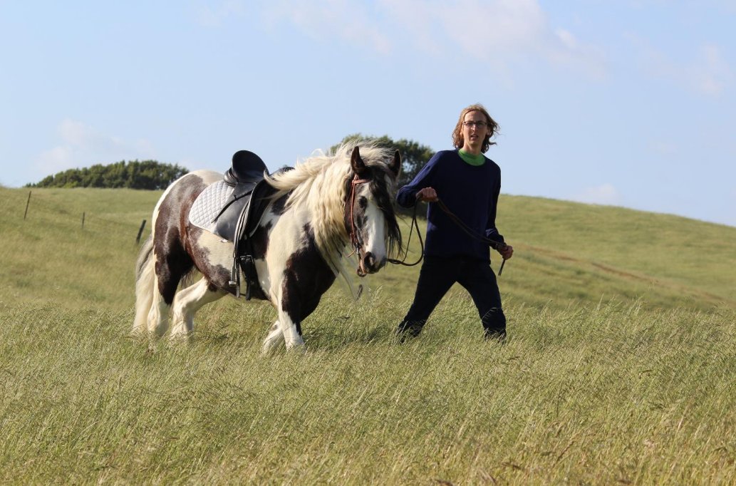The Roundtable Shhs Twitter Check Out Leet Miller S Photo Gallery At Http Roundtable Sacredsf Below Theo Ennis 19 Leads His Horse Back To Family Petaluma