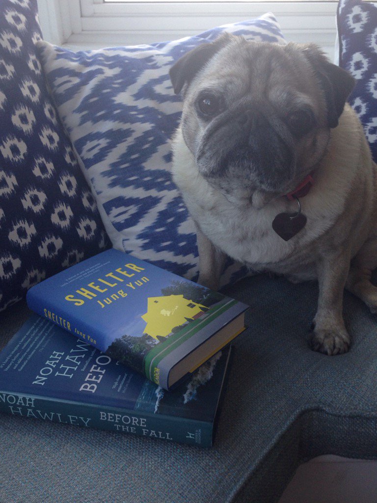 johd1's tweet photo. Afternoon reading on the window seat #pugcation #booksandpugs #favouritethings #aldeburgh #heaven https://t.co/N0EdaJI3t1