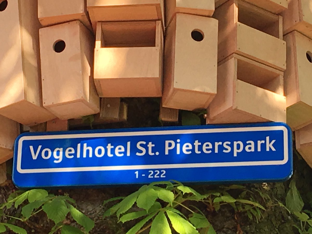 JacobsMario's tweet photo. Vogelhotel in #Groeseind mogen openen. Idee: bewoners. Uitvoering: kids #bsDeCocon. Resultaat: 222 prachtige vogelappartementjes. https://t.co/XN55CKGmsN