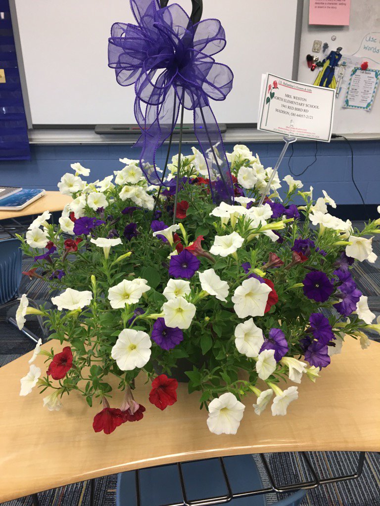 MrsWestonNES's tweet photo. These beautiful flowers made my day! Thank you to the Pekar family! #fabulousfamilies #ilovemyjob https://t.co/Y89upGxoV3