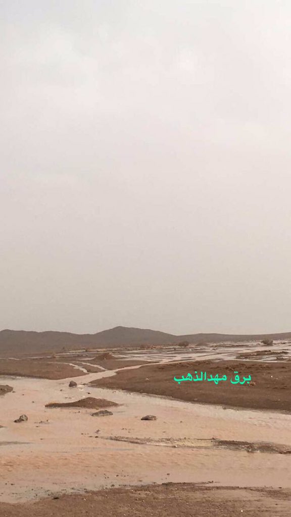 BinZuweid's tweet photo. امطار متوسطه شمال قرية #العمق الان 6:30م https://t.co/BxAsDNJdrx