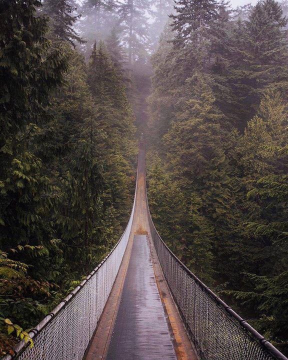 coffee_n_mtns's tweet photo. Capilano Suspension Bridge Park https://t.co/fBa1JSRDnc