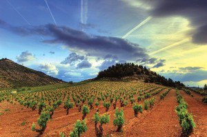 TivoliWines's tweet photo. Update: Only 8 tickets left for our Spanish Wine Evening on 26th May - 15+ wines paired with @las_tapitas canapes. Delicioso! https://t.co/LNcAkIL3s6