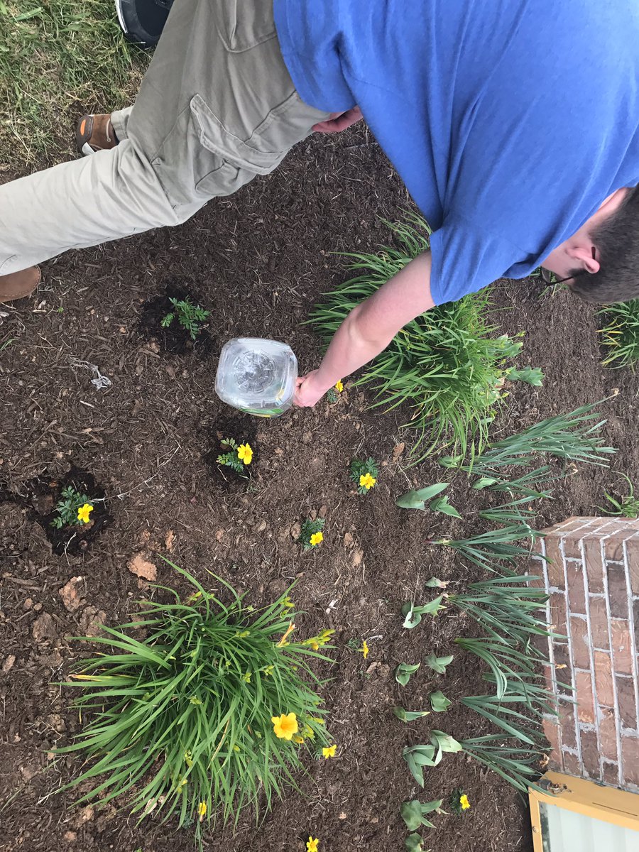 MrMcDanielMMS's tweet photo. Louis Starnes helping #KeepMeadowviewBeautiful by watering one of our many flower beds. 
#WeAreMV #KMB 
@teresabateayers @VikingsConquer https://t.co/pVXYZ0le8k