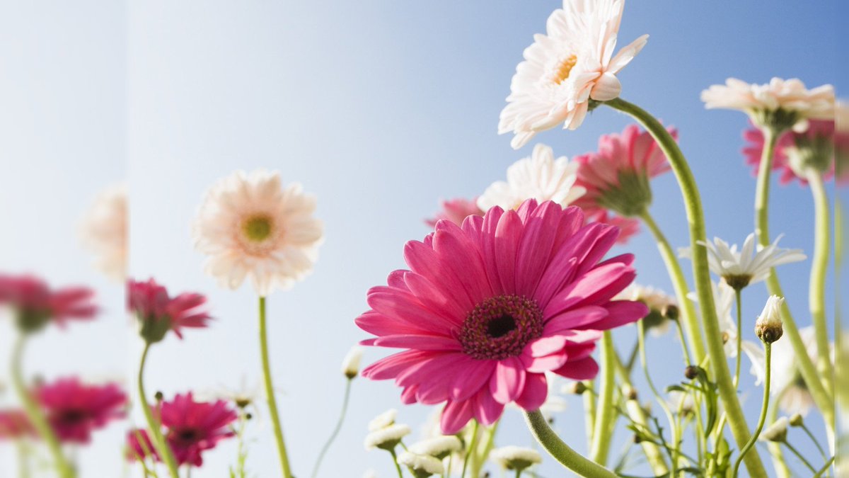LWReedyHomes's tweet photo. Learn about Mother's Day and May events happening in and around Elmhurst in our May View from 101 York #LWReedy
https://t.co/zxngL9phOo https://t.co/WhiONHyjPK