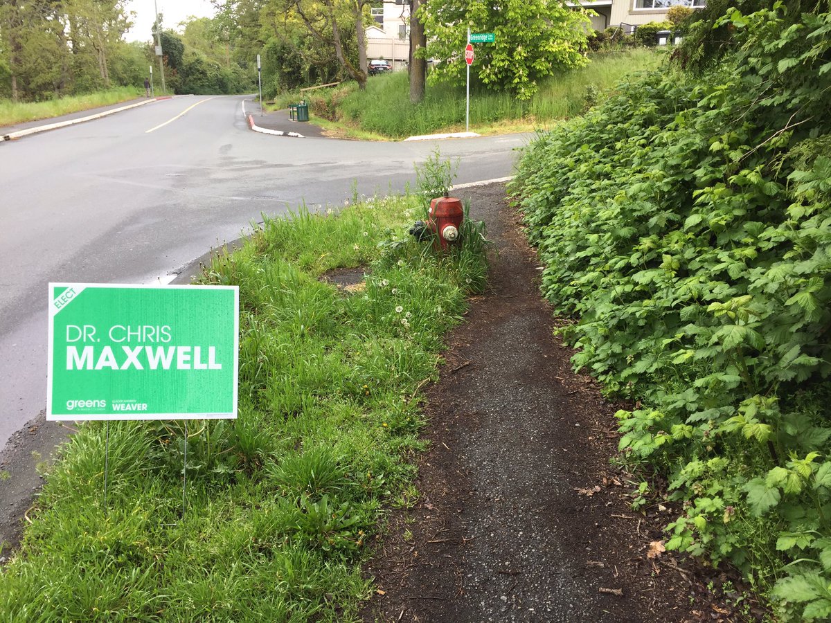 AnalyseVic's tweet photo. Ironic that @BCGreens signs only ones left littering the greenery #pleaseremove #yyj https://t.co/r4IkGsQnfe