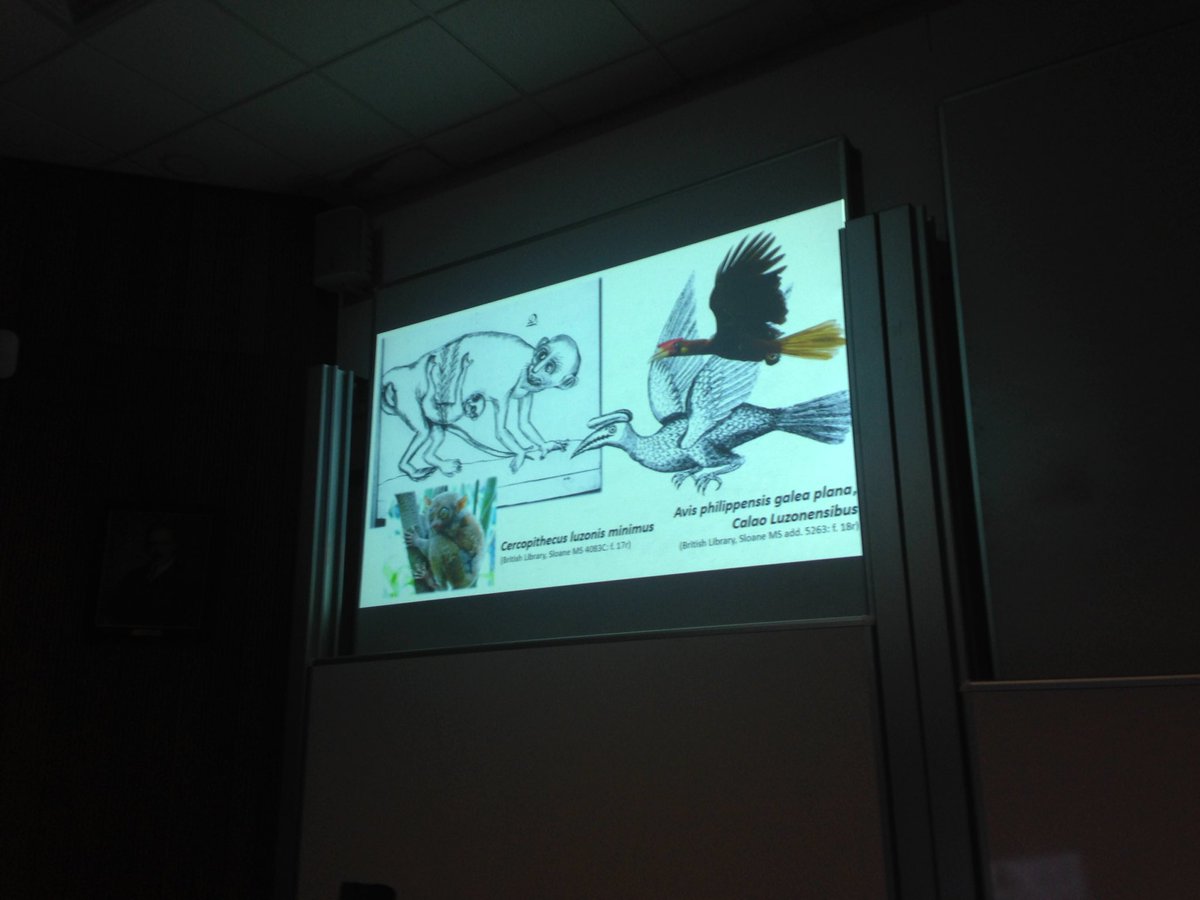 Sebestian Kroupa on Georg Joseph Kamel SJ (1661-1706). Here a lovely cercopithecus! #histsci <a href="/HCAatEdinburgh/">HCAatEdinburgh</a>