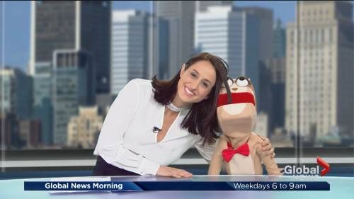 WatchMojo's tweet photo. The Sloth talks #JrMojo and #GreaterMontrealDay on @Global_Montreal https://t.co/CpxWYKpuI5 check out JrMojo here: https://t.co/8vEuKa205T https://t.co/nhlqc9wXeg