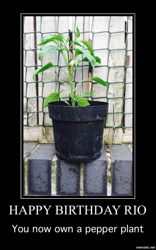 Happy Birthday Rio <a href="/Hazel2502/">Haze</a> #yournanawillgiveittoyou #sweetpepperplant