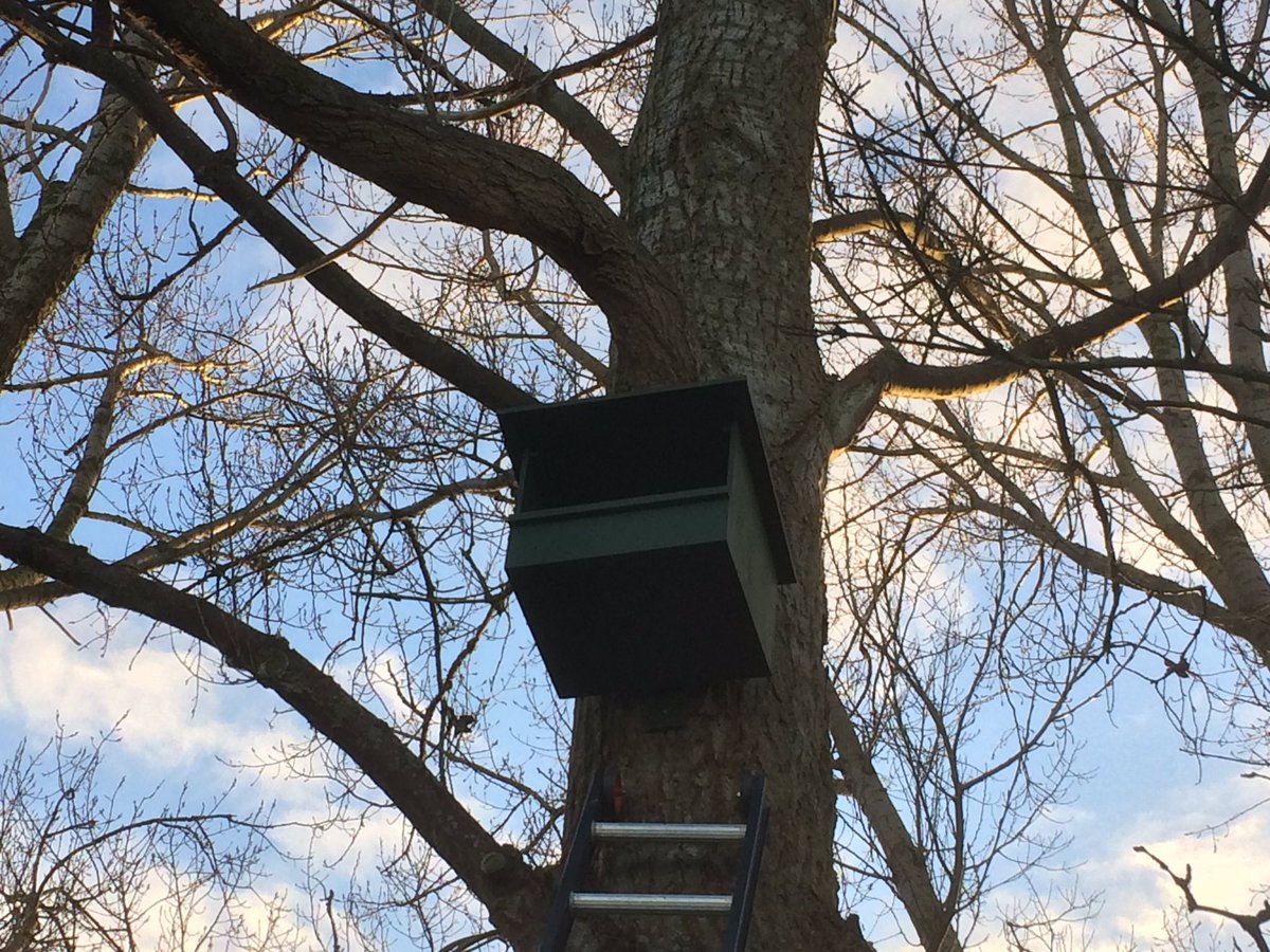 In gemeente #KaagenBraassem wordt een #Vogelwerkgroep opgericht, de voorbereidingen zijn inmiddels in gang gezet: facebook.com/permalink.php?…
