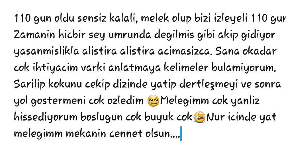 ANNEM...