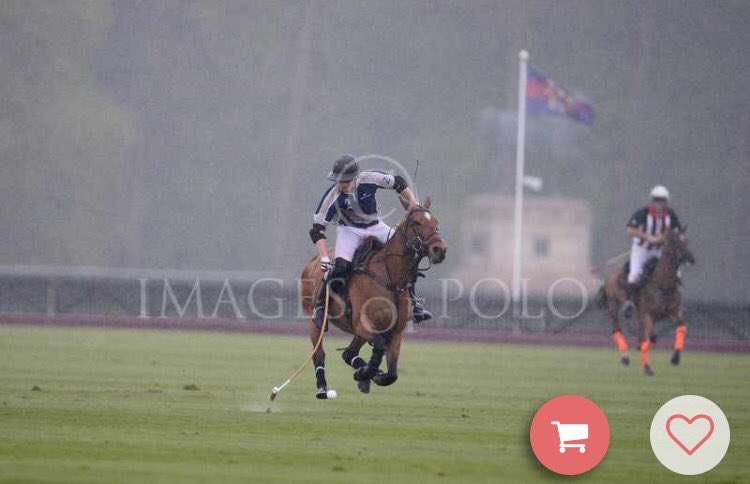 Tommy Severn (@tommysevern77) on Twitter photo First Game Of The Season-A win in the Queen Mother <a href="/guardspoloclub/">Guards Polo Club</a> against Sifani - On Indica. #Flying #Queensground First Game Of The Season-A win in the Queen Mother <a href="/guardspoloclub/">Guards Polo Club</a> against Sifani - On Indica. #Flying #Queensground