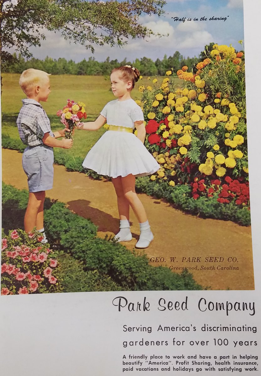 SCFOF's tweet photo. TBT: An ad from our 1968 program and what started it all. Park Seed Jackson & Perkins Wayside Gardens #SCFOF50th #Greenwoodsblooming https://t.co/9tBPXhMFVw