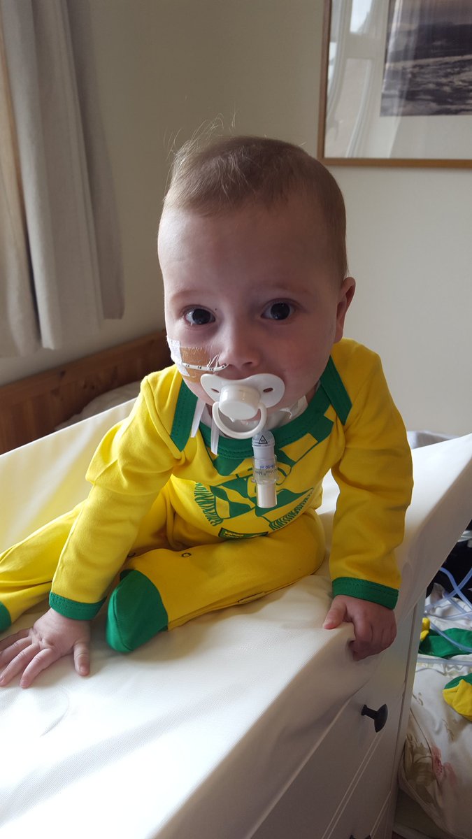 TinneyC's tweet photo. 11 months today sporting his @NorwichCityFC babygrow...we will get to a game one day #football #Norwich @joshdbaines @nathbaines https://t.co/WyHp51n4NB