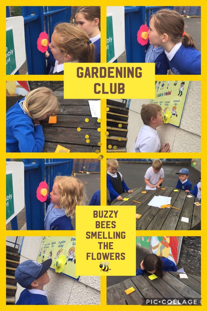 CCPPSchool's tweet photo. πLots of learning in after school gardening club today #ccpASC #ccpeco #ccpscience π https://t.co/ea1WHD2bvk