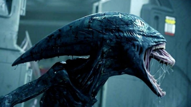 DMovies_org's tweet photo. There are only a few hours left before the creature is out again!
Alien: Covenant is in cinemas tonight at midnight
https://t.co/sKa8in9Plz https://t.co/R4xUisGELt