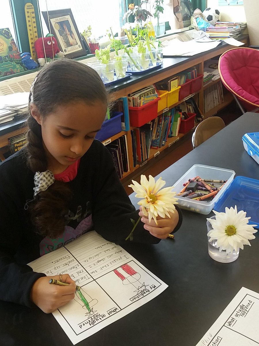 Cindy (@sciencewhalen) on Twitter photo 