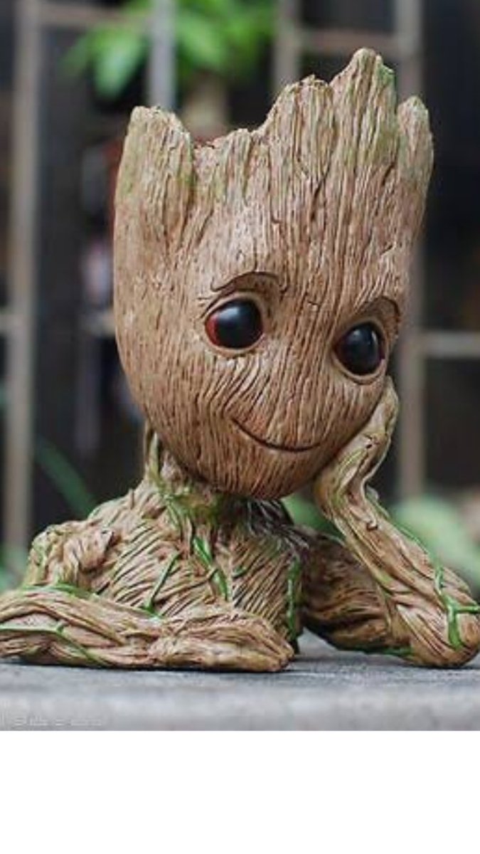 MichaelMcKiddy's tweet photo. New rule. Everyone has to start their day by looking at this photo for a minute. #Love #BabyGroot https://t.co/kVDOp2a1Zk