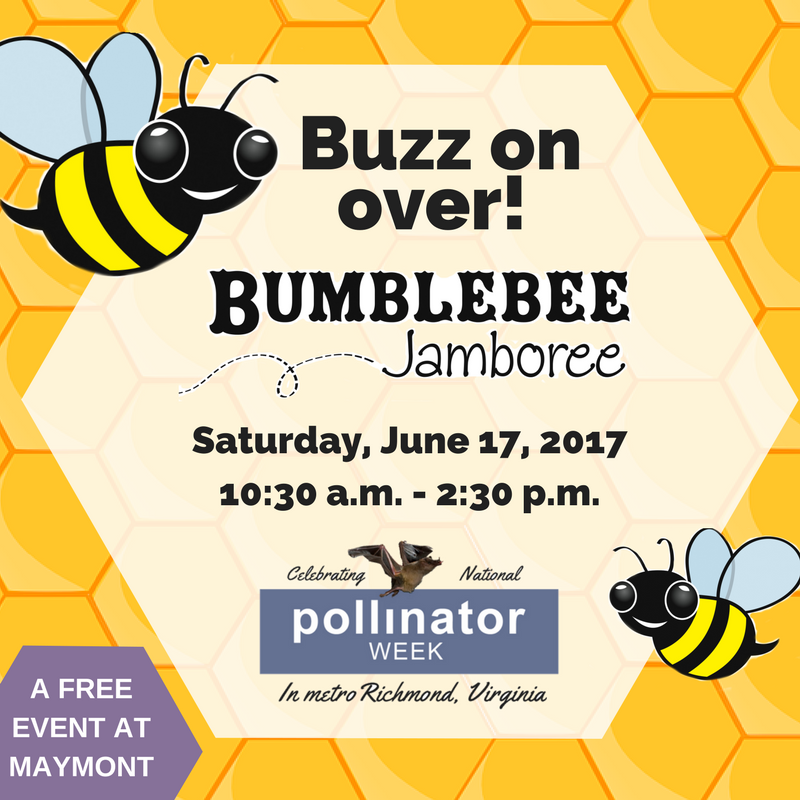 ChesterfieldVa's tweet photo. Buzz over to the Bumblebee Jamboree Saturday, June 17, at Maymont Park. It’s a free family-friendly event about pollinators. #pollinatorplug https://t.co/mWtT1p5nkT