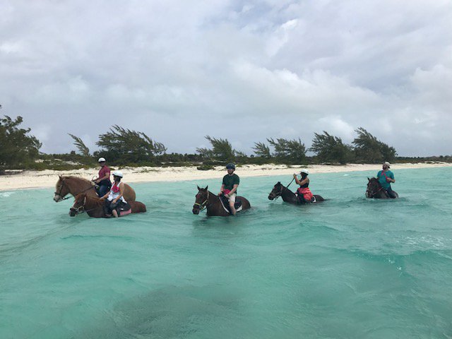 EventsWithRia's tweet image. Throwback to an amazing #incentiveevent in Turks &amp;amp; Caicos this past March! It was such an adventure to plan and execute. #tbt #eventprofs