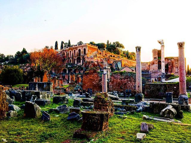 GlobeStops's tweet photo. Roman Forum and Palatine Hill https://t.co/TXZj1ZfRbA https://t.co/EPcISZZLA5