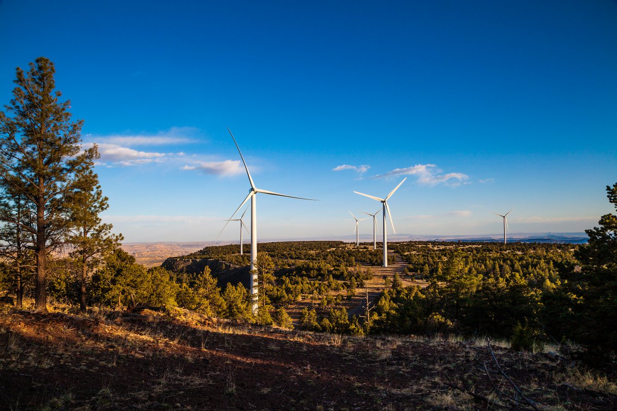 FreeABQimages's tweet photo. We are fortunate to be home to abundant sources of renewable energy. Check out our new photos on the subject at https://t.co/io7dWKYuTj https://t.co/vgR4e0e5uV
