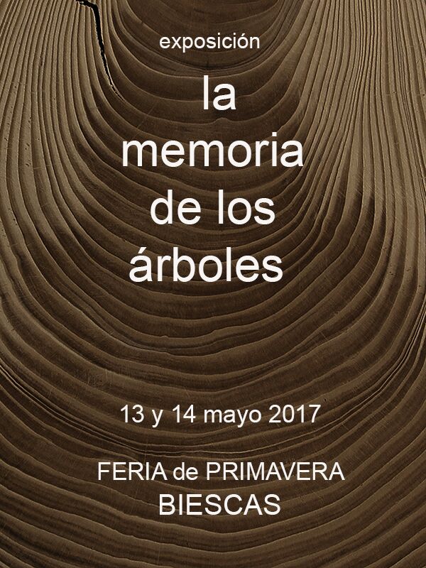 eSaltoRoldan's tweet photo. Nos vemos este fin de semana en la Feria de Primavera de #Biescas con nuestra exposición "La memoria de los árboles".
Os esperamos! https://t.co/G2eP3a30Y0