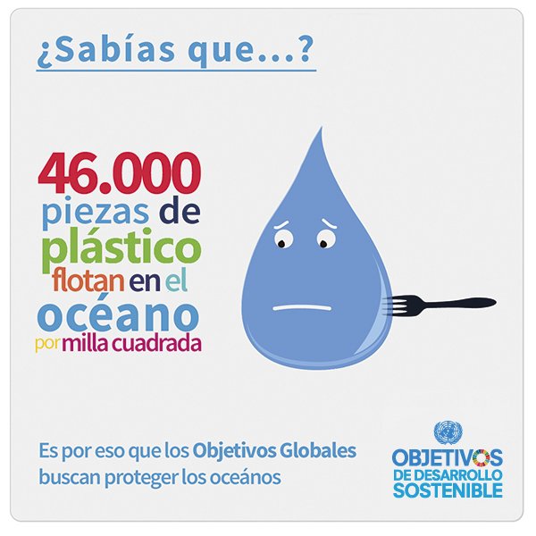 unep_espanol's tweet photo. ¡No sabes cuánto ayudas a los #océanos si reduces tu consumo de #plásticos!  #MaresLimpios https://t.co/kZeNKfqL2e https://t.co/4ww5wVLxyo
