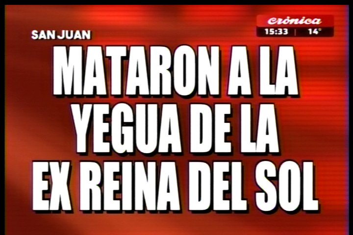 CronicaTV's tweet photo. #PlacasRojas | #SanJuan Mataron a la yegua de la ex #ReinaDelSol, le cortaron la cabeza a #Paloma https://t.co/JiTuNUpLkO